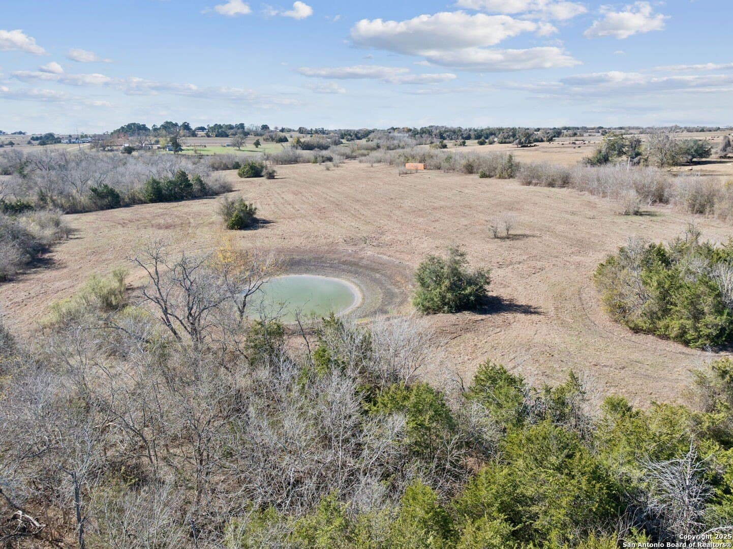 46.5 acres in Austin County - photo 22