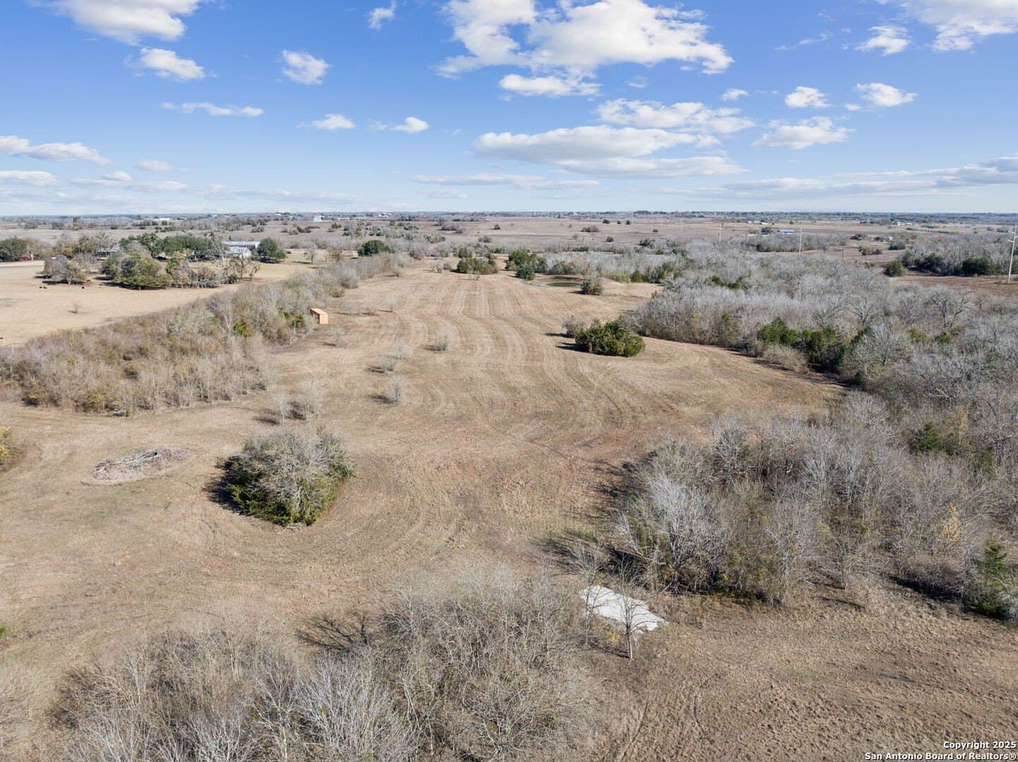 46.5 acres in Austin County - photo 10
