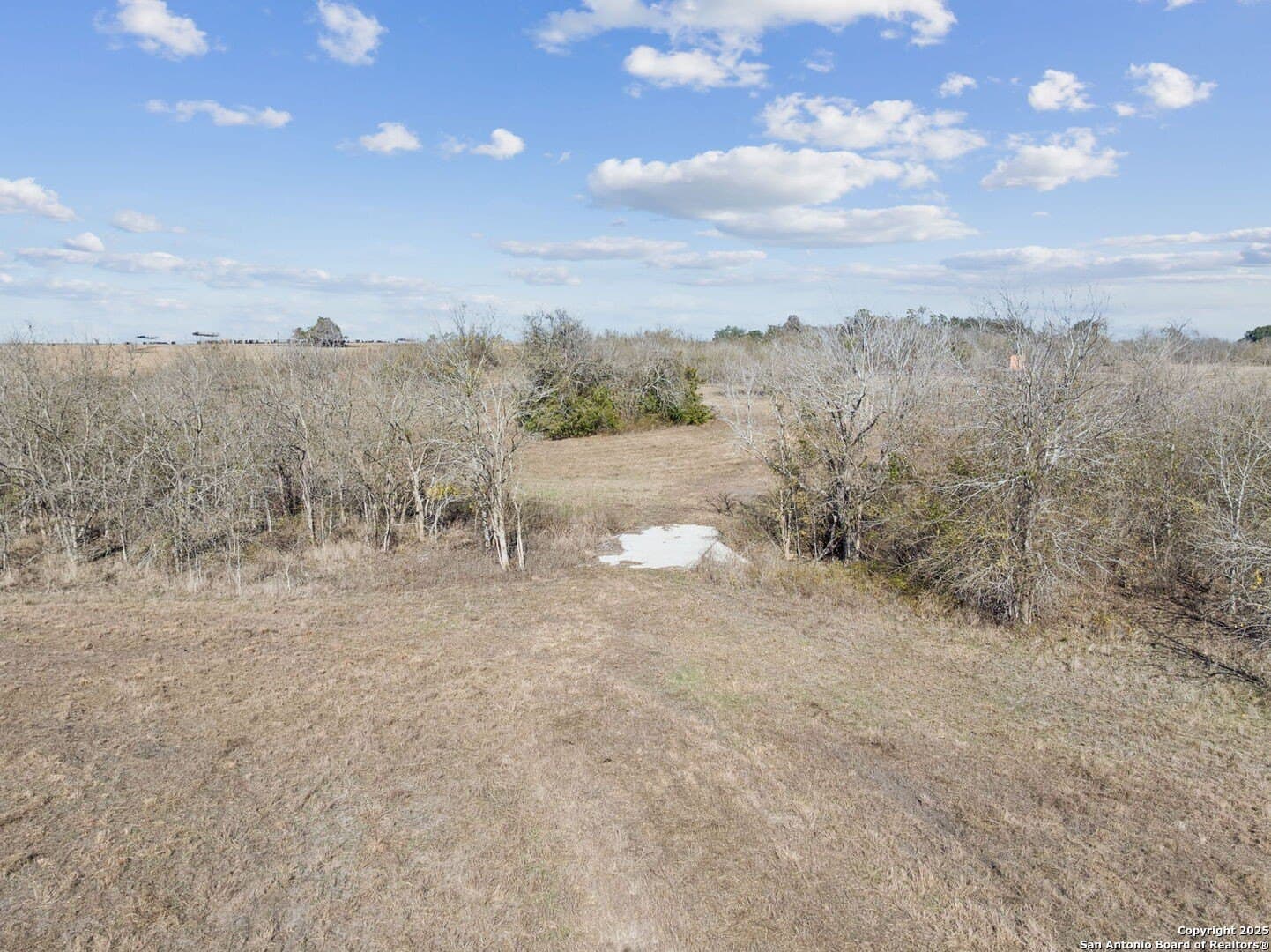 46.5 acres in Austin County - photo 25