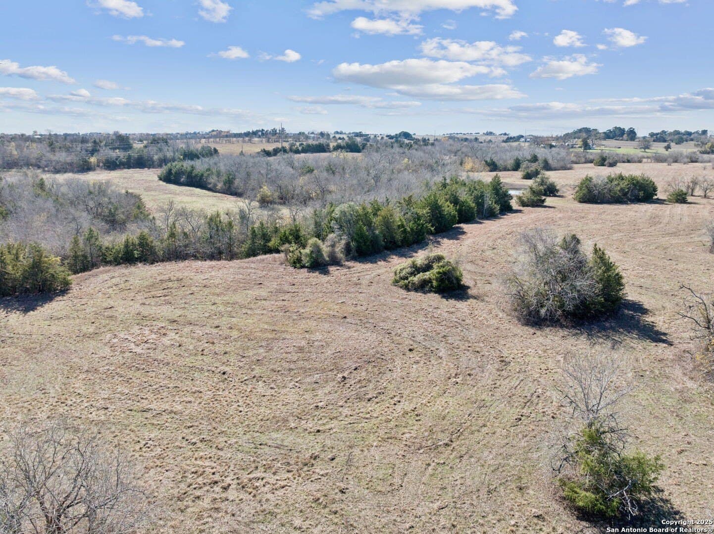 46.5 acres in Austin County - photo 20