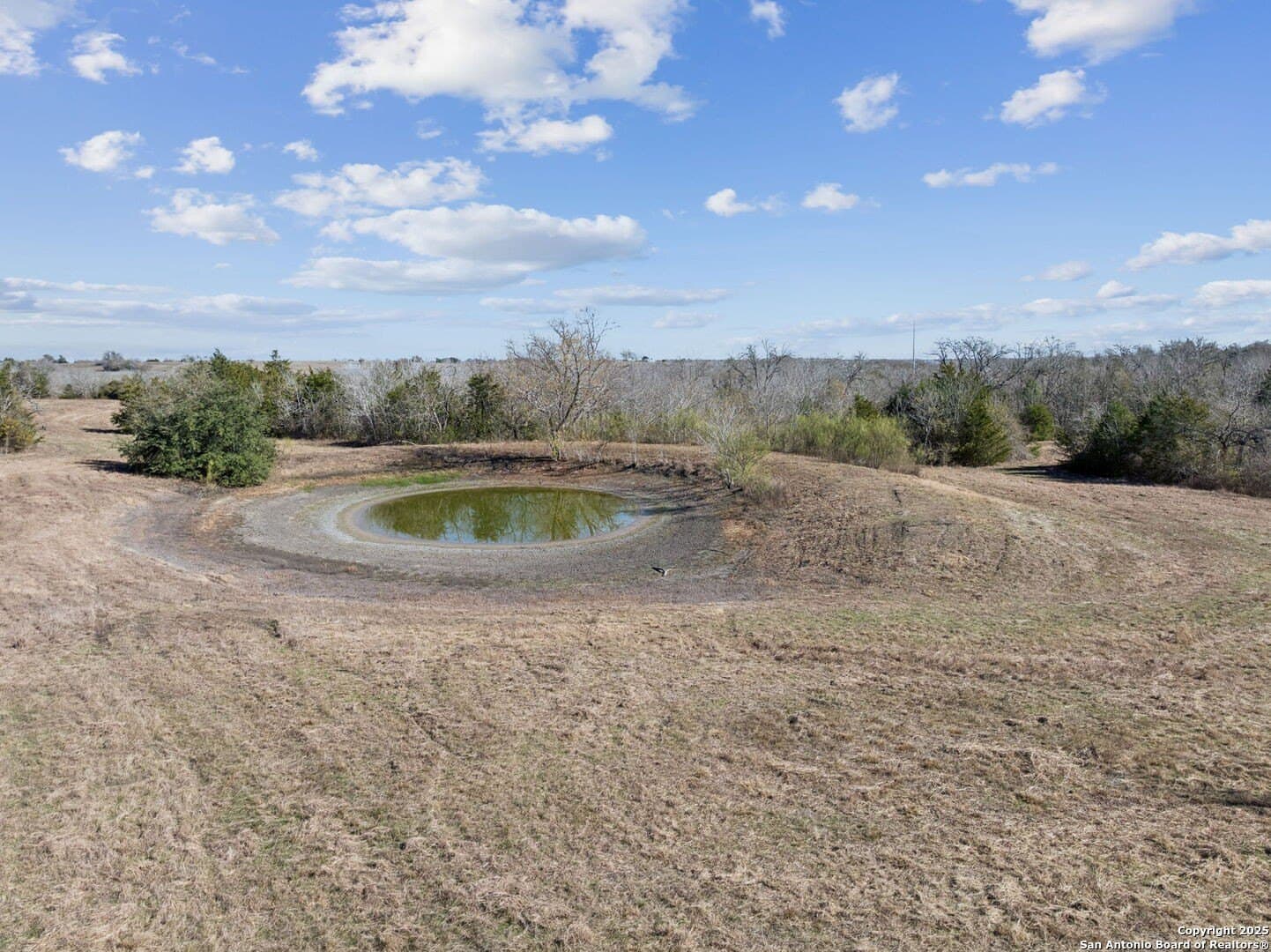 46.5 acres in Austin County - photo 26