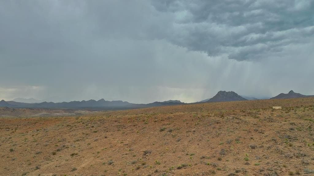 43 acres in Brewster County