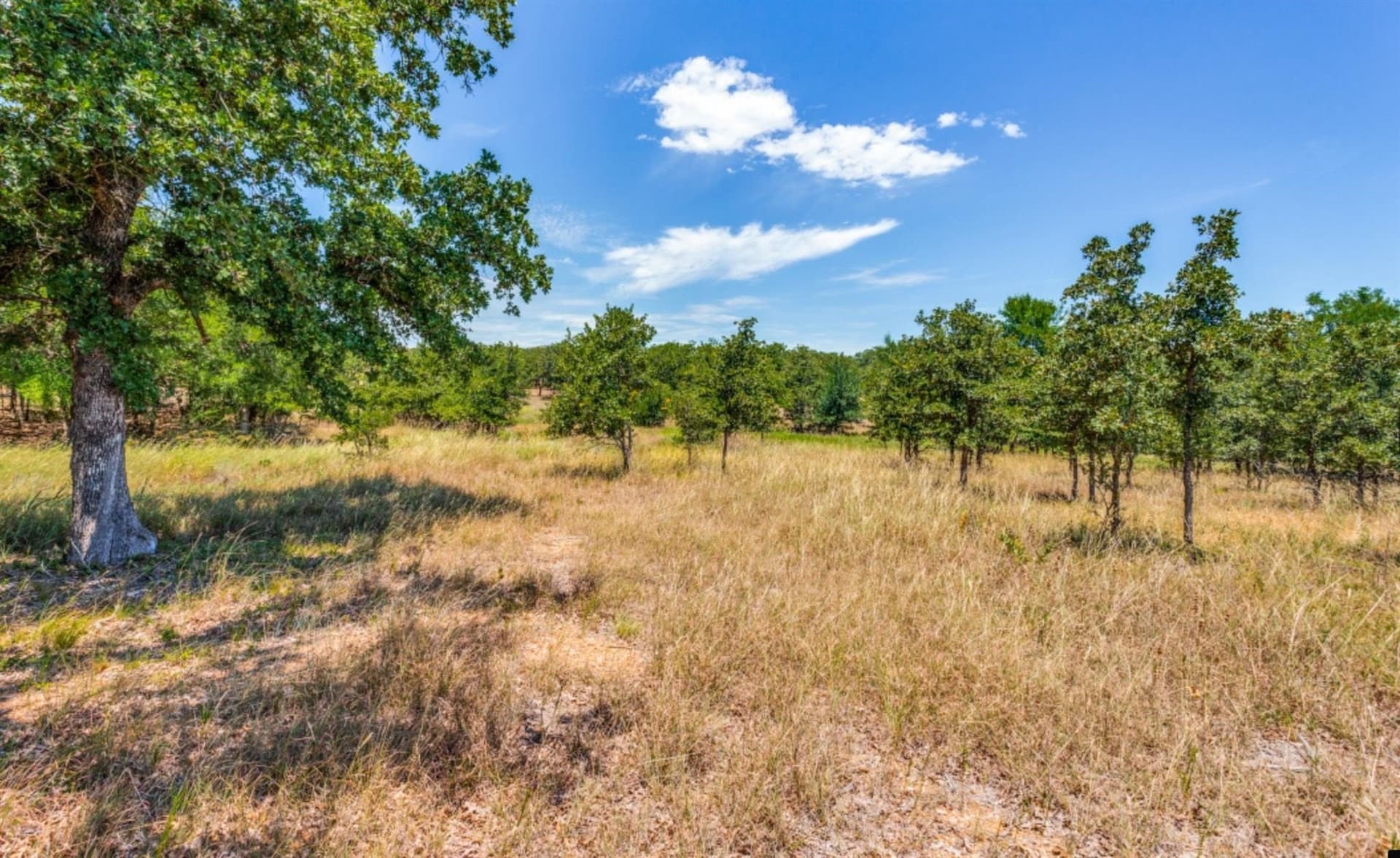 3.26 acres in Parker County - photo 9