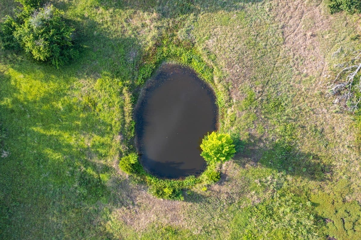 45.53 acres in Van Zandt County - photo 6
