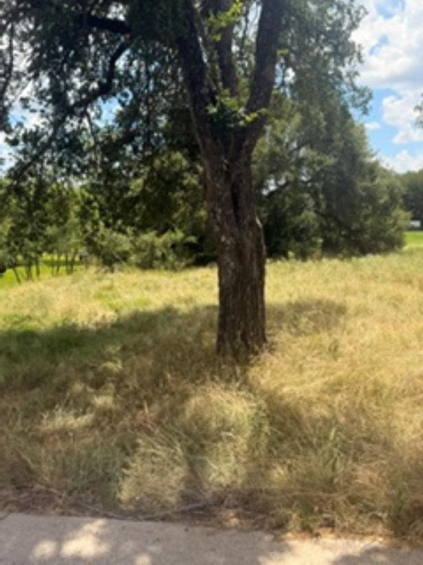 0.24 acres in Llano County - photo 3