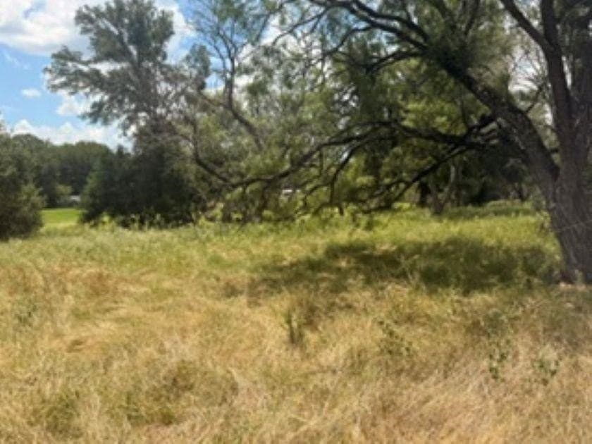 0.24 acres in Llano County - photo 6