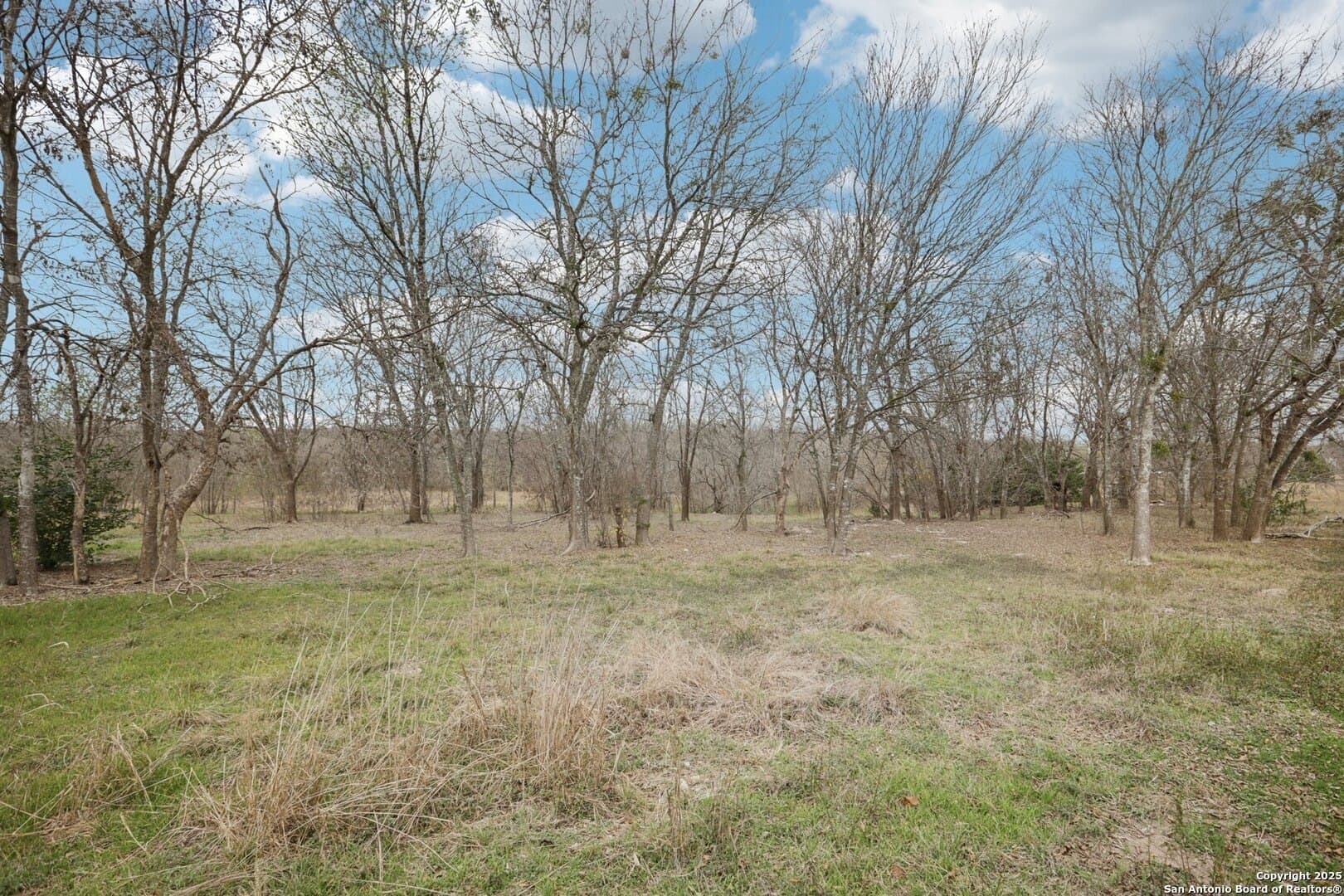 11 acres in Travis County featured view