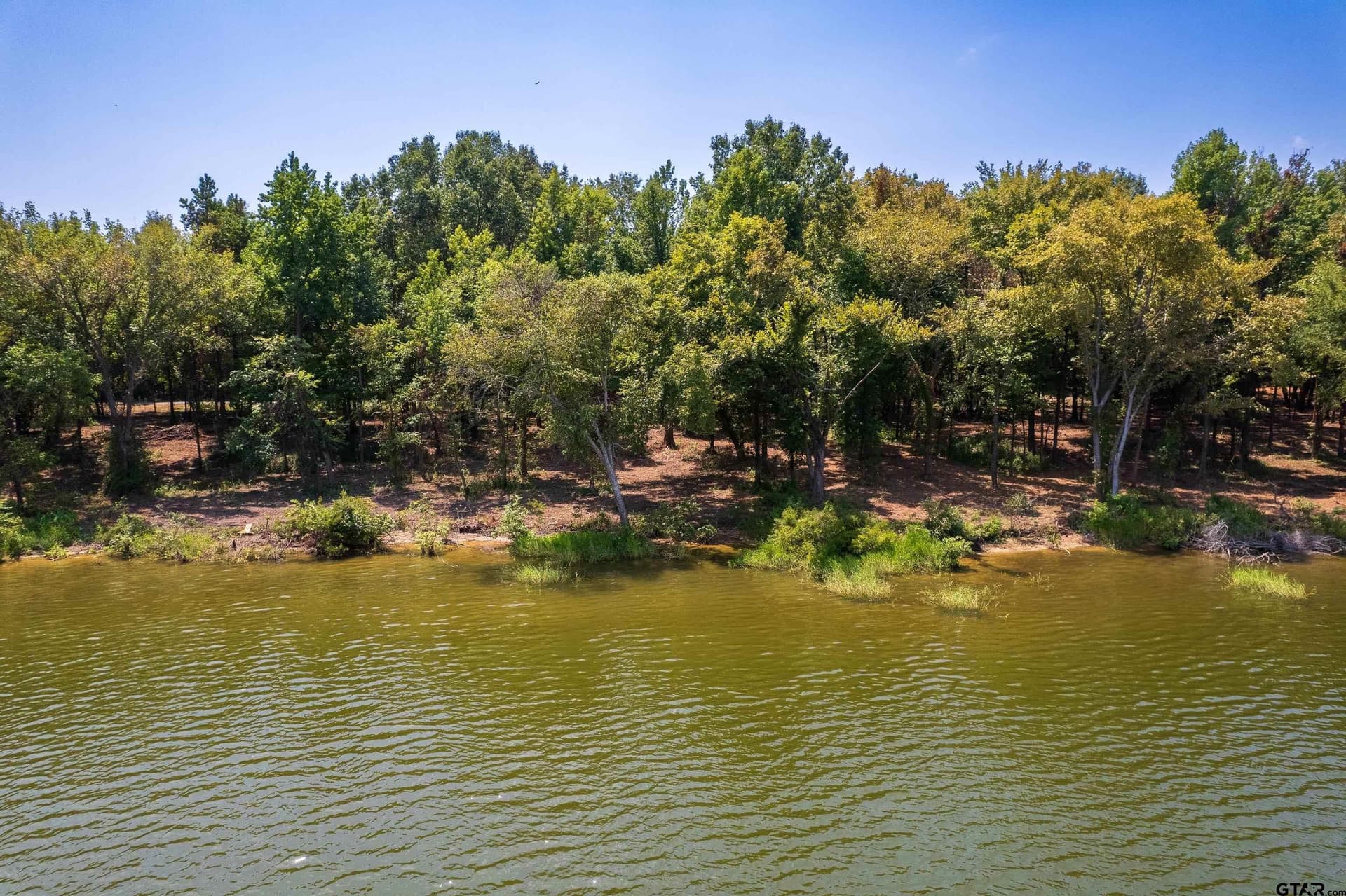 1.72 acres in Camp County - photo 9