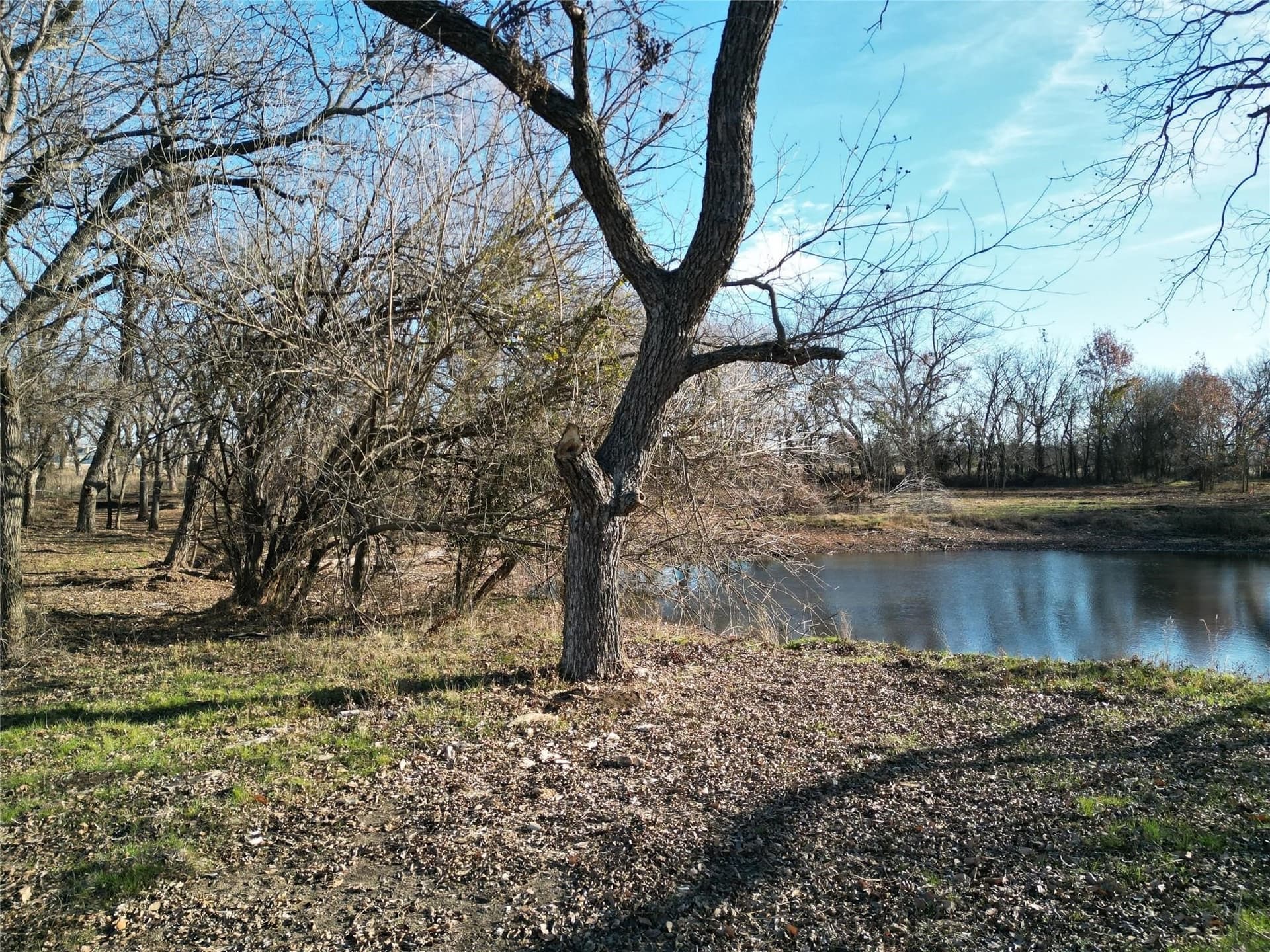 5 acres in Cooke County - photo 9