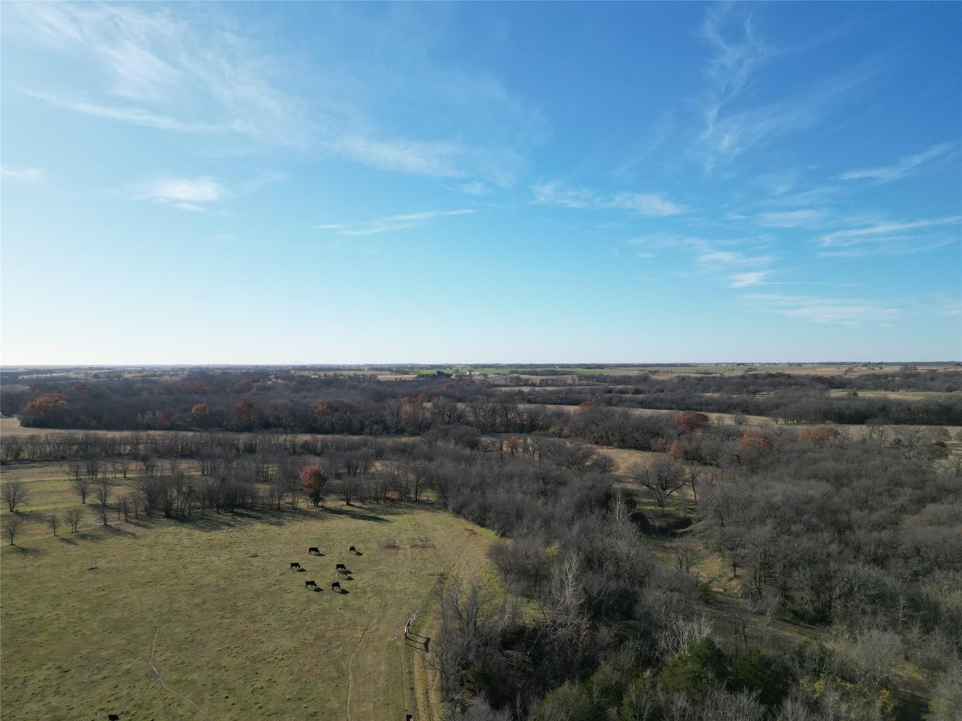 5 acres in Cooke County - photo 3