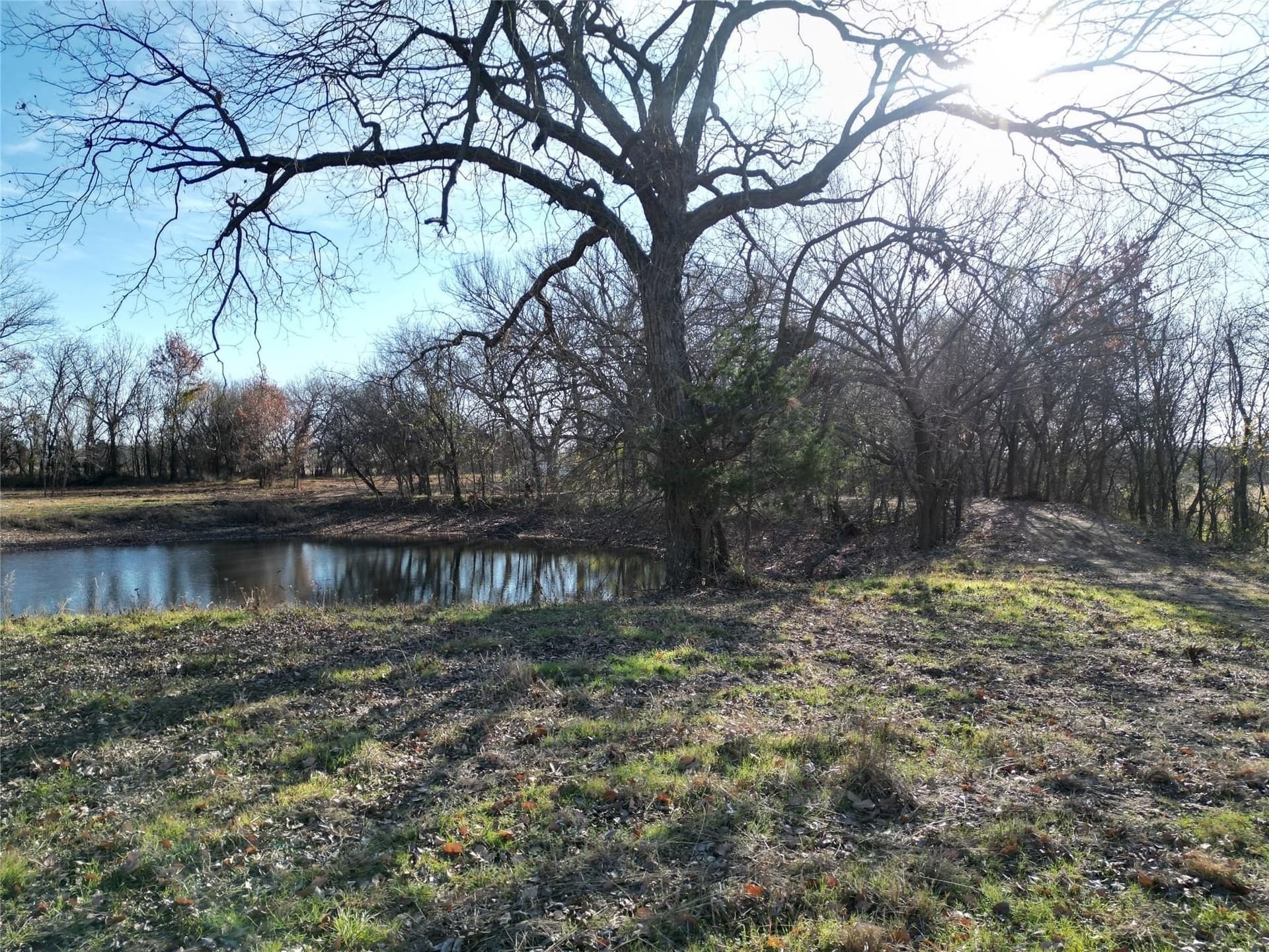 5 acres in Cooke County - photo 10