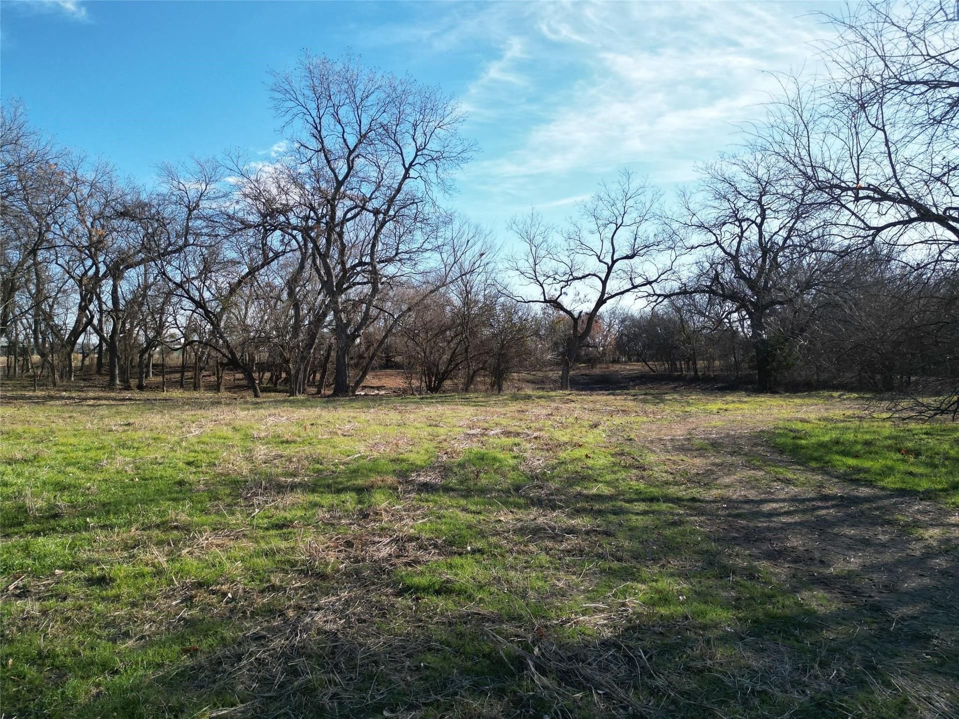 5 acres in Cooke County - photo 11