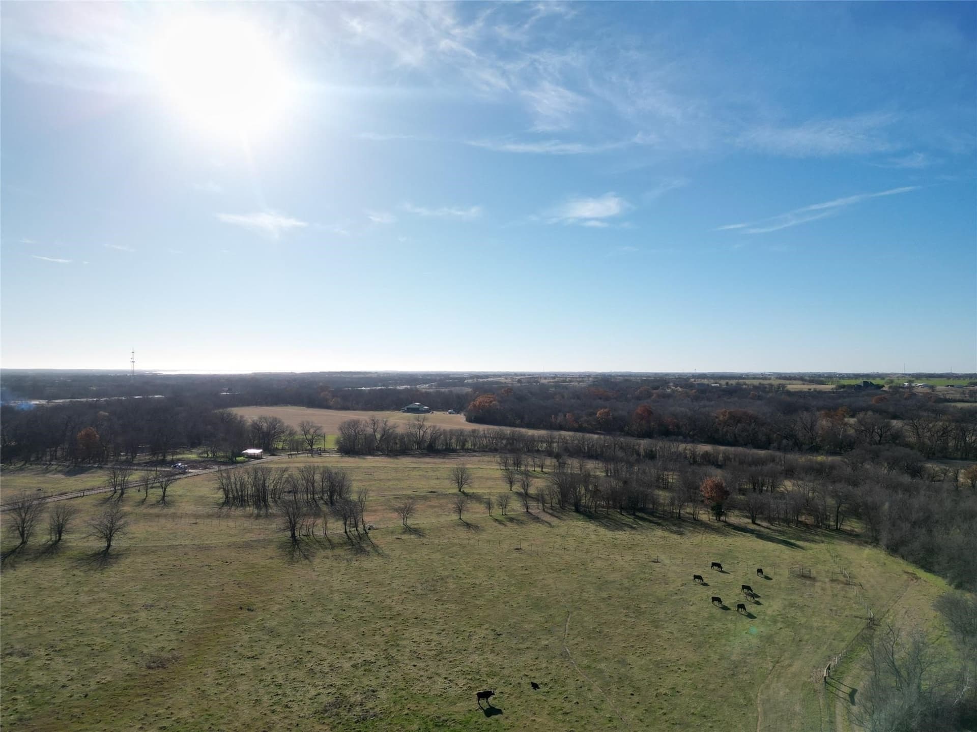 5 acres in Cooke County - photo 7