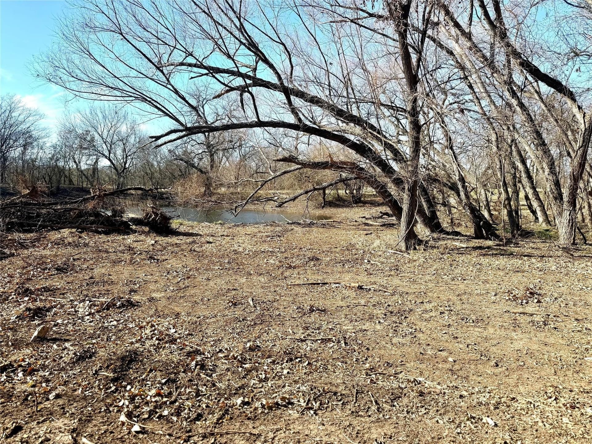 5 acres in Cooke County - photo 20