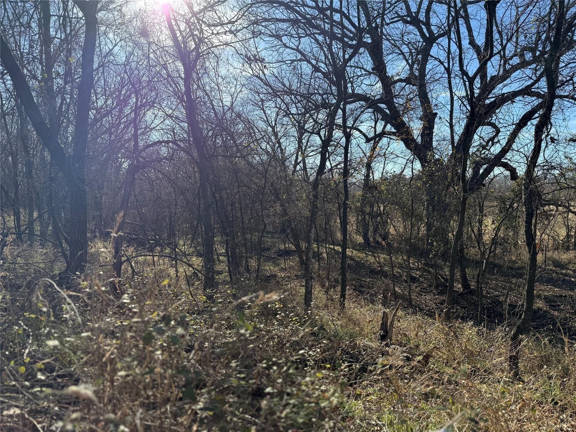 5 acres in Cooke County - photo 17