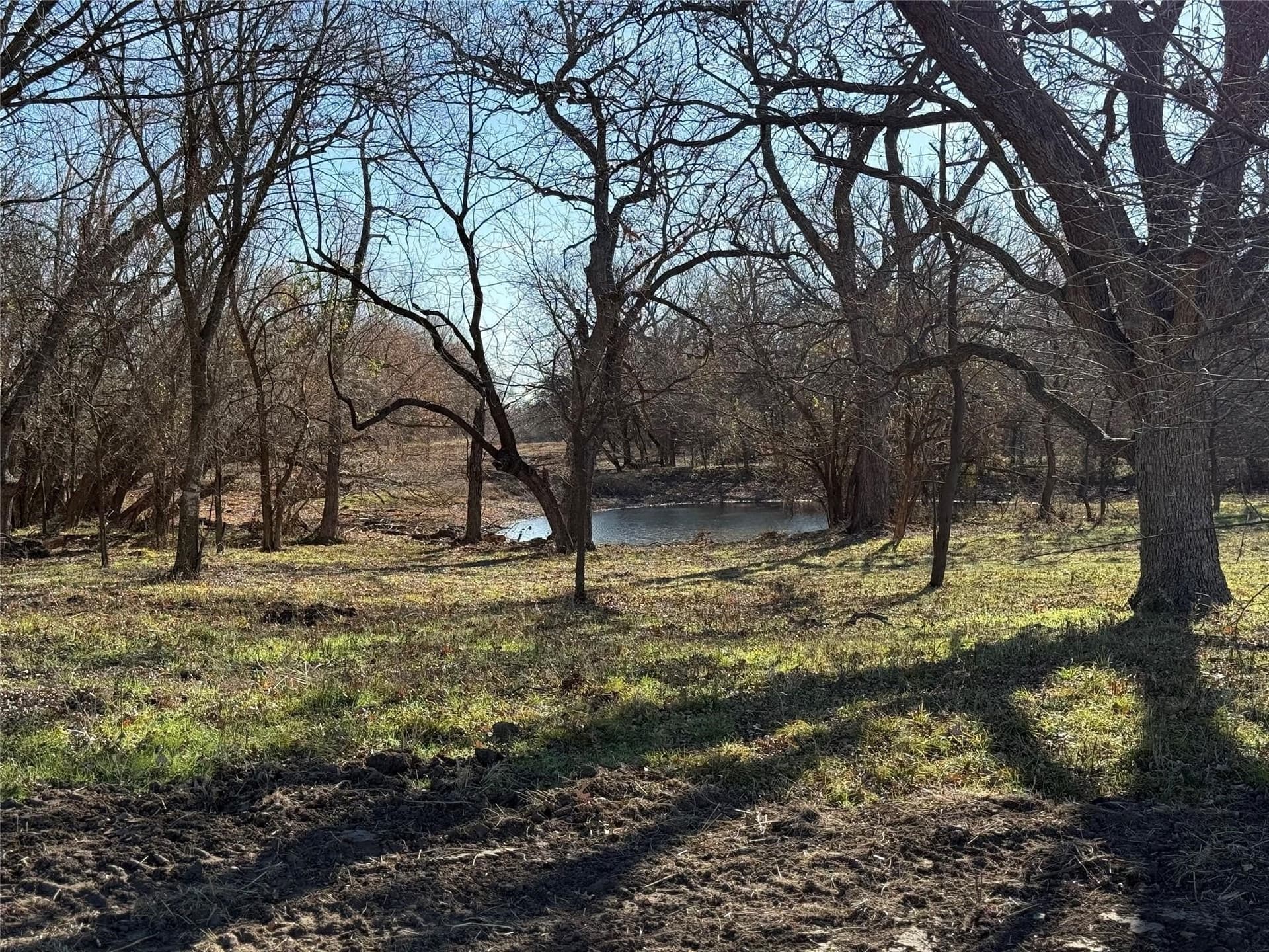 5 acres in Cooke County - photo 13