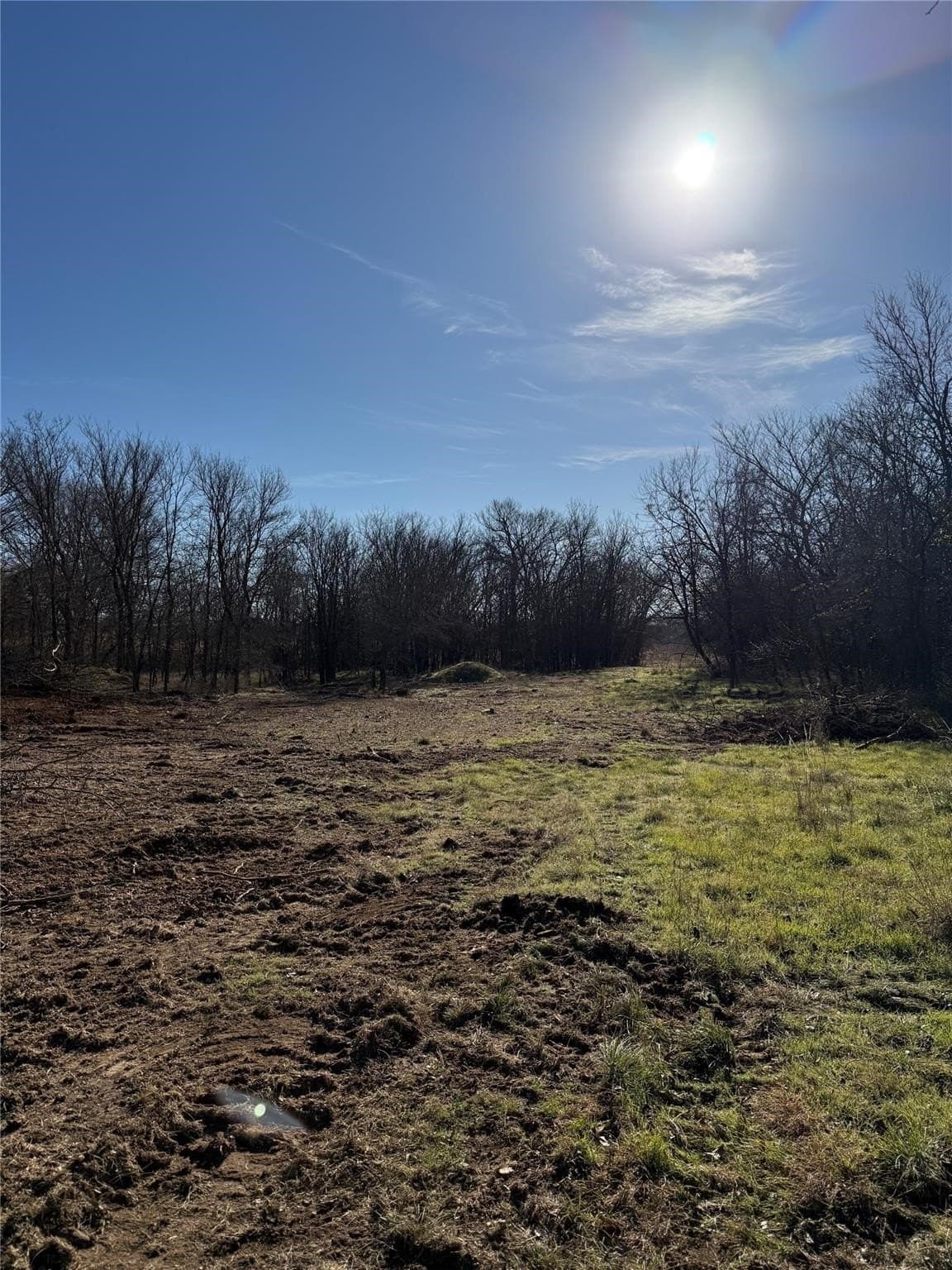 5 acres in Cooke County - photo 15