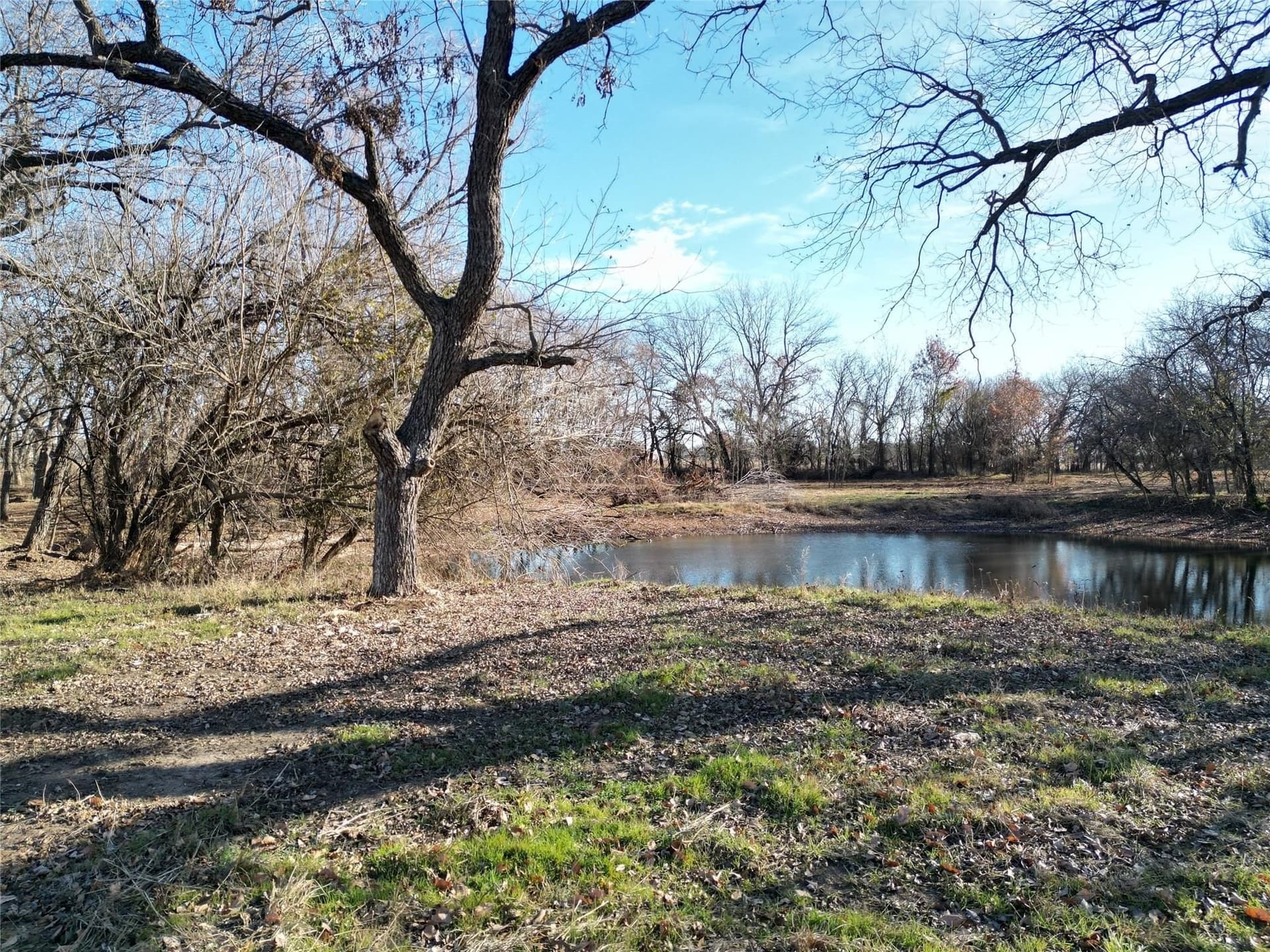 5 acres in Cooke County - photo 21