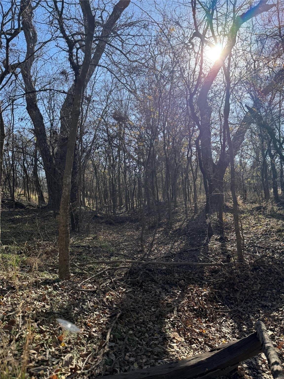 5 acres in Cooke County - photo 24