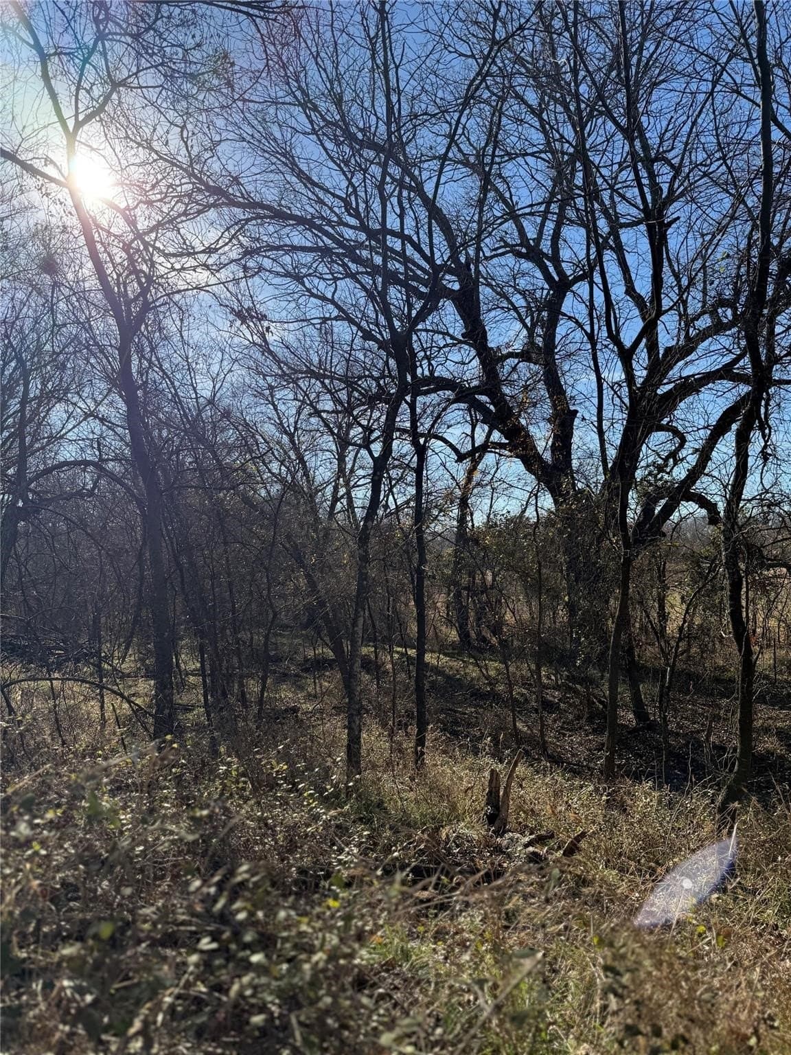 5 acres in Cooke County - photo 26