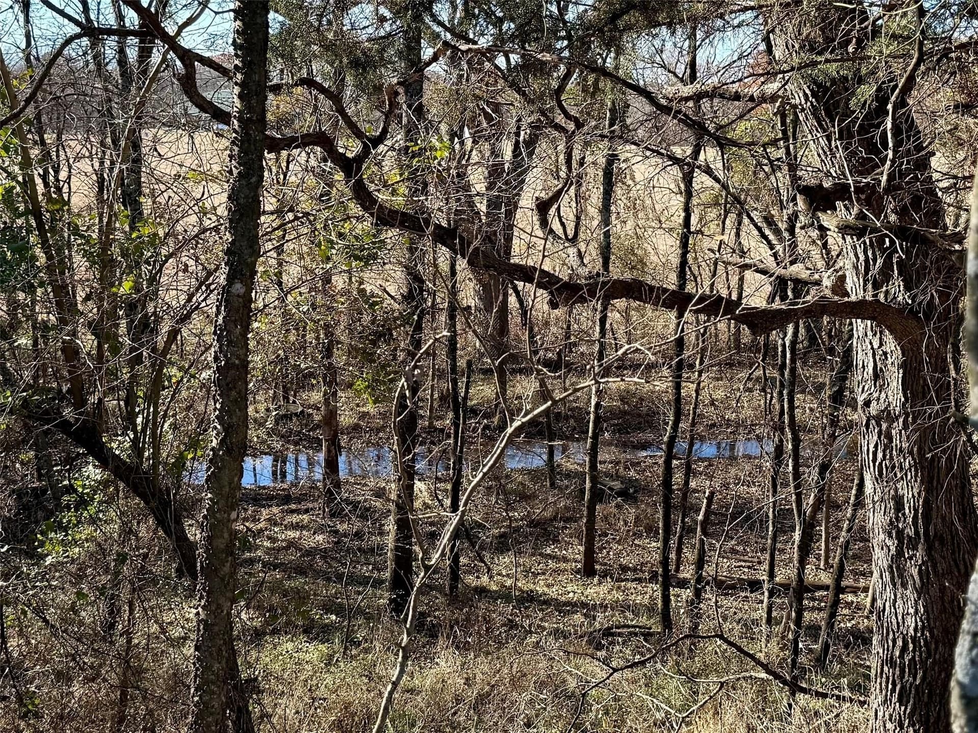 5 acres in Cooke County - photo 25