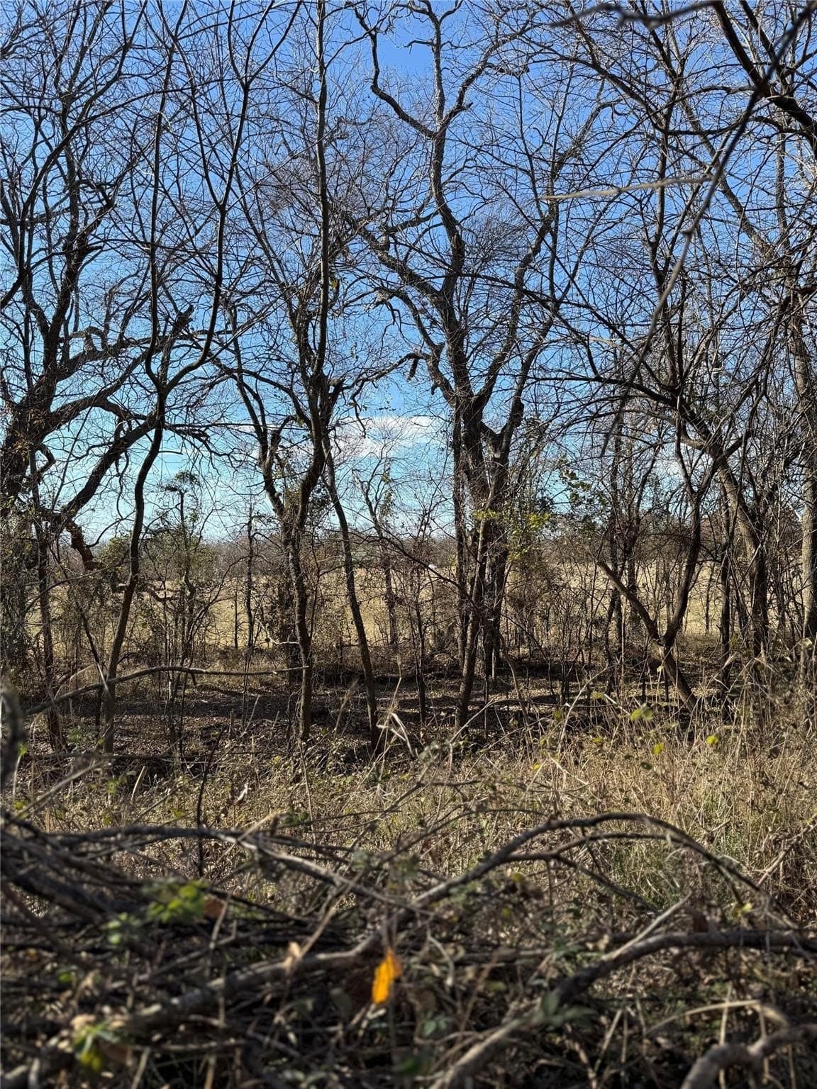 5 acres in Cooke County - photo 16