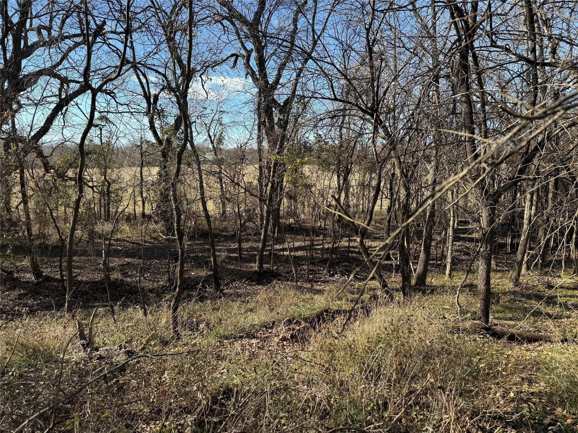5 acres in Cooke County - photo 14