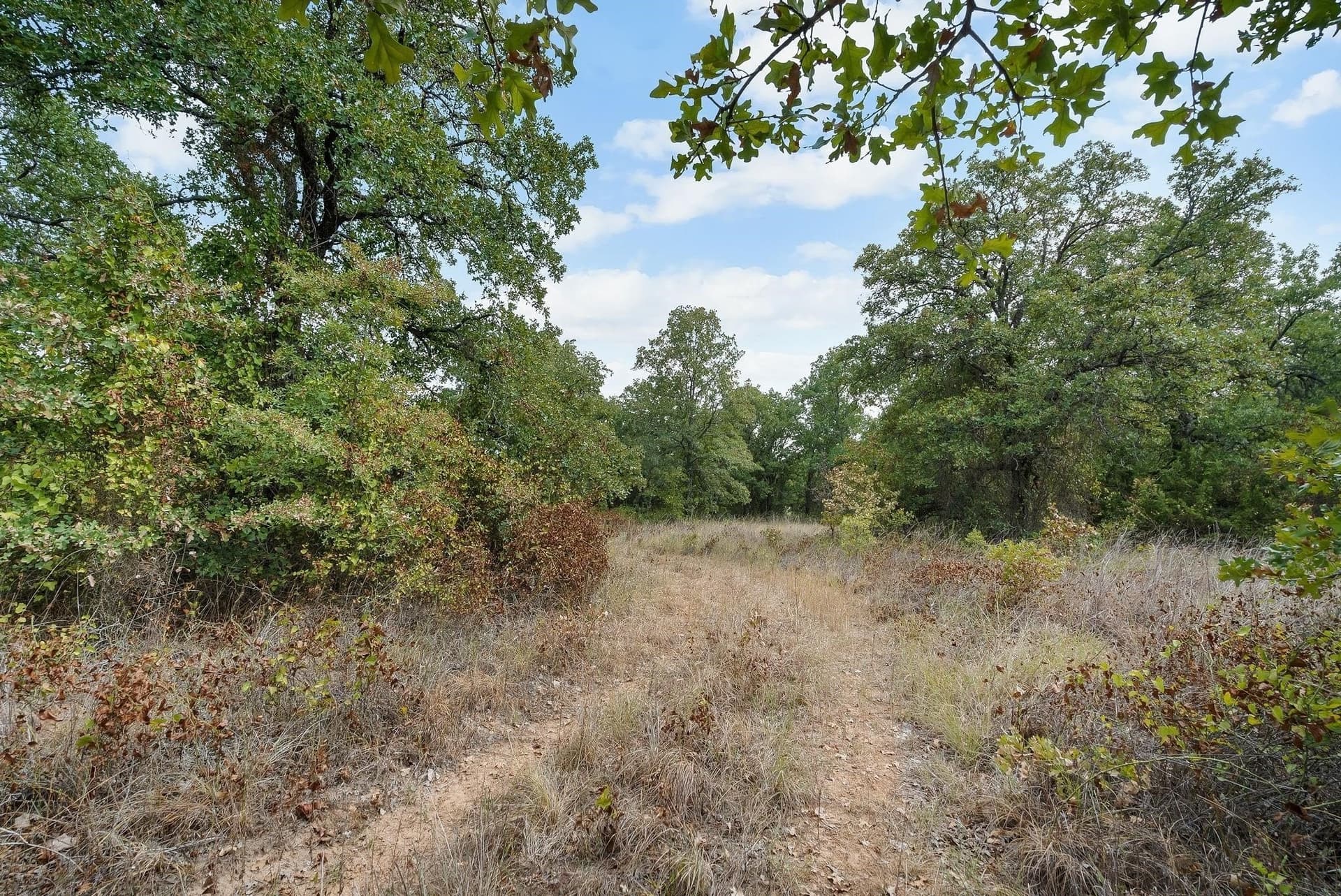 15 acres in Jack County - photo 20