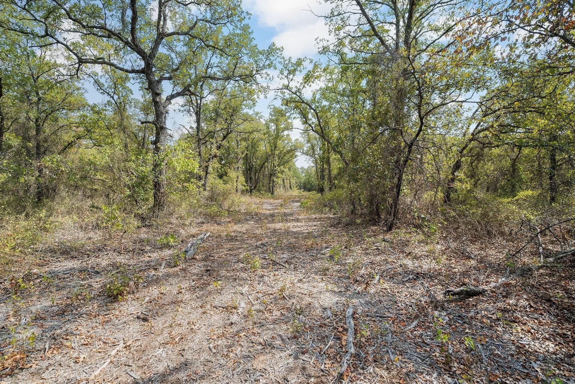 15 acres in Jack County - photo 8