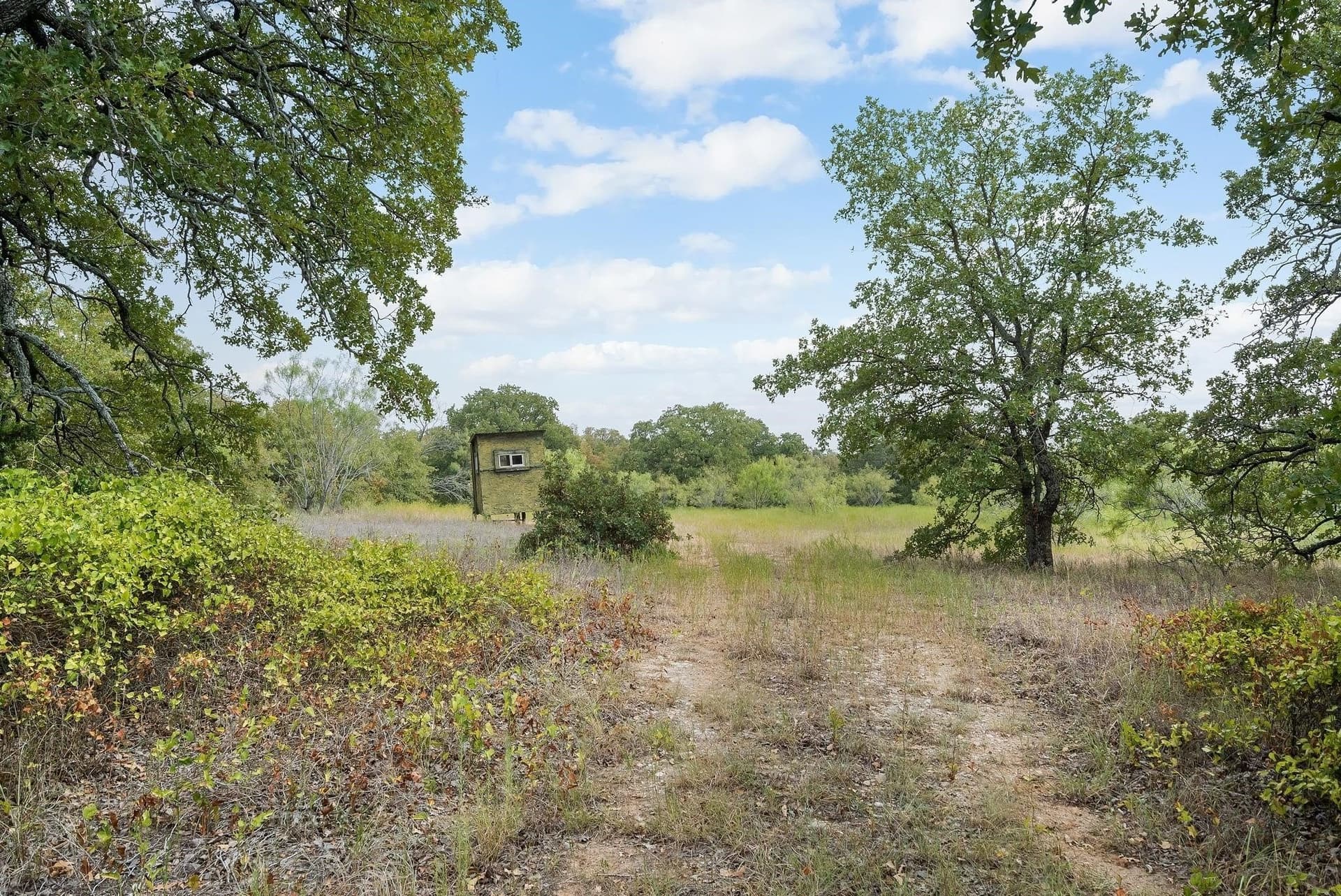15 acres in Jack County - photo 13