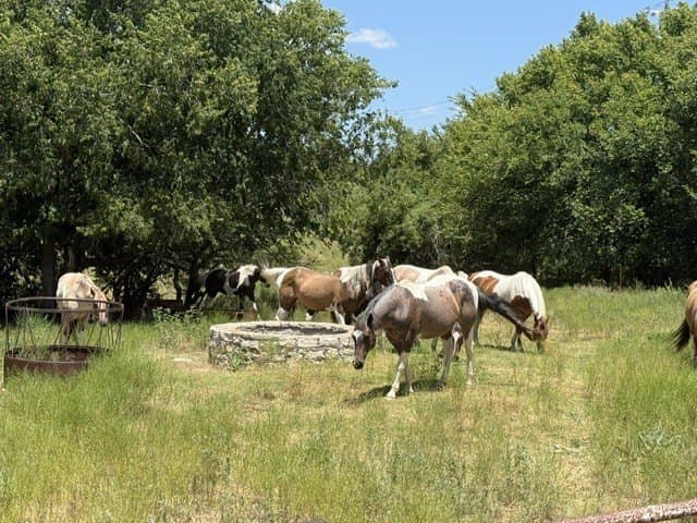 100 acres in Erath County featured view