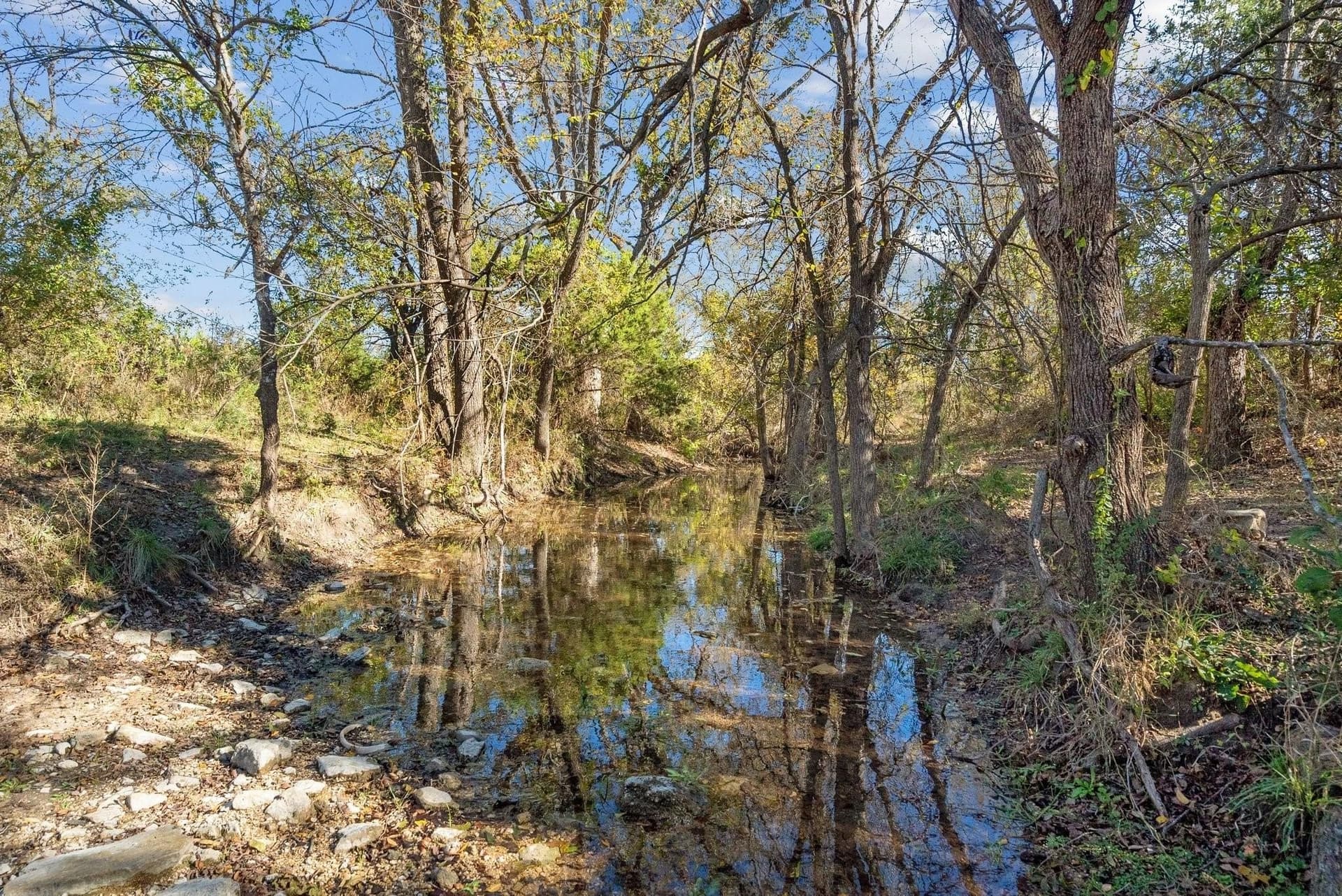 100 acres in Erath County gallery image 3