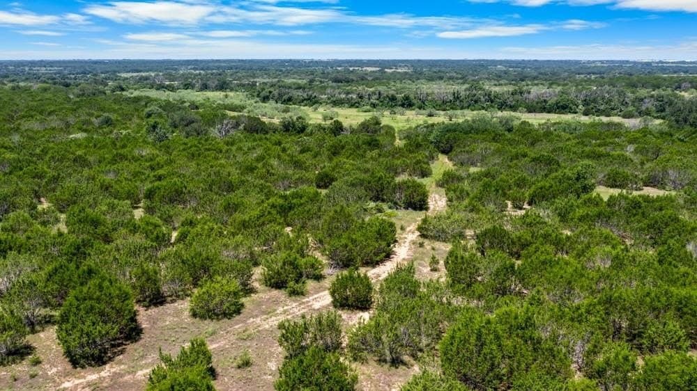 100 acres in Erath County gallery image 2