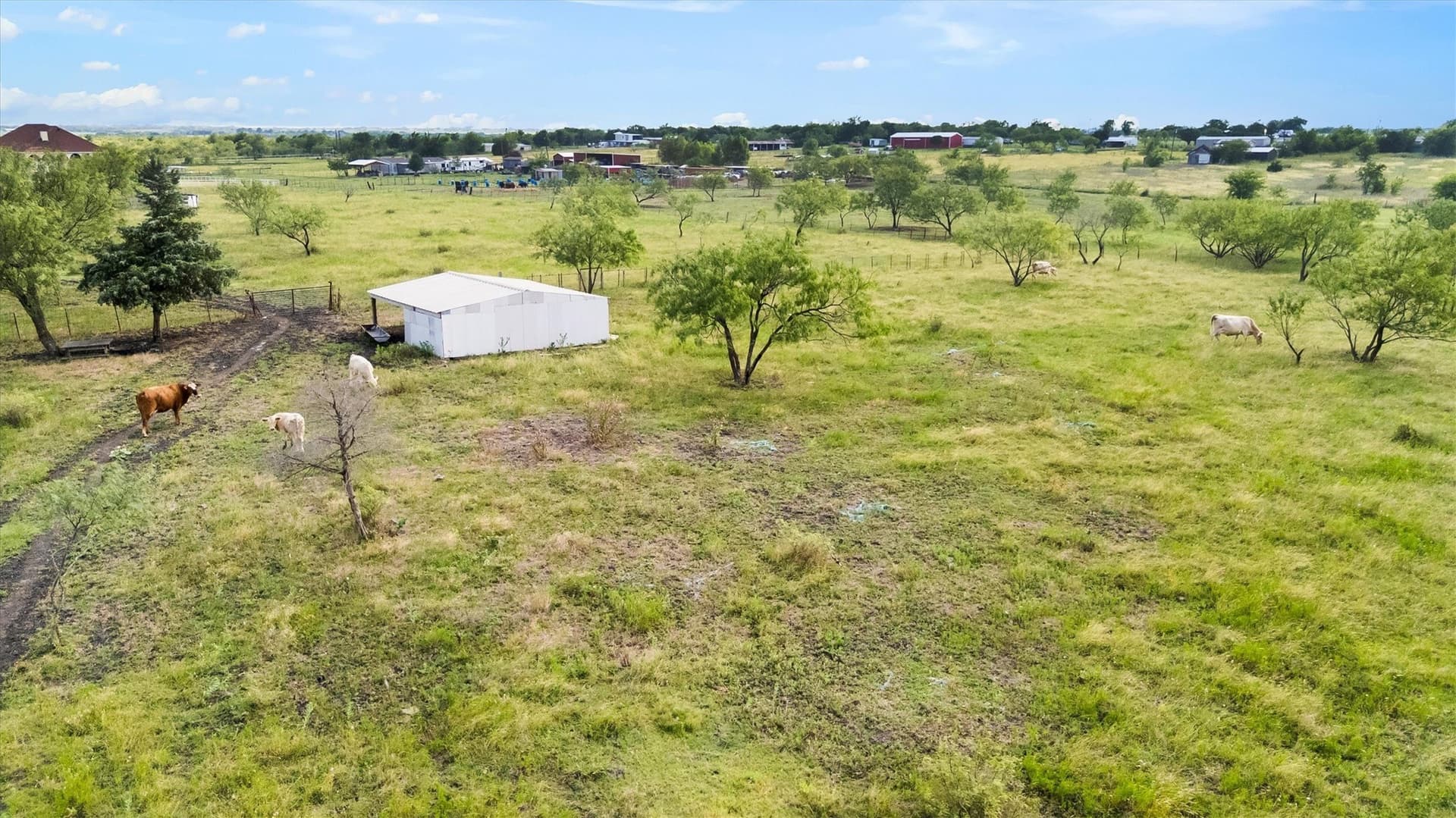 24.05 acres in Ellis County - photo 33