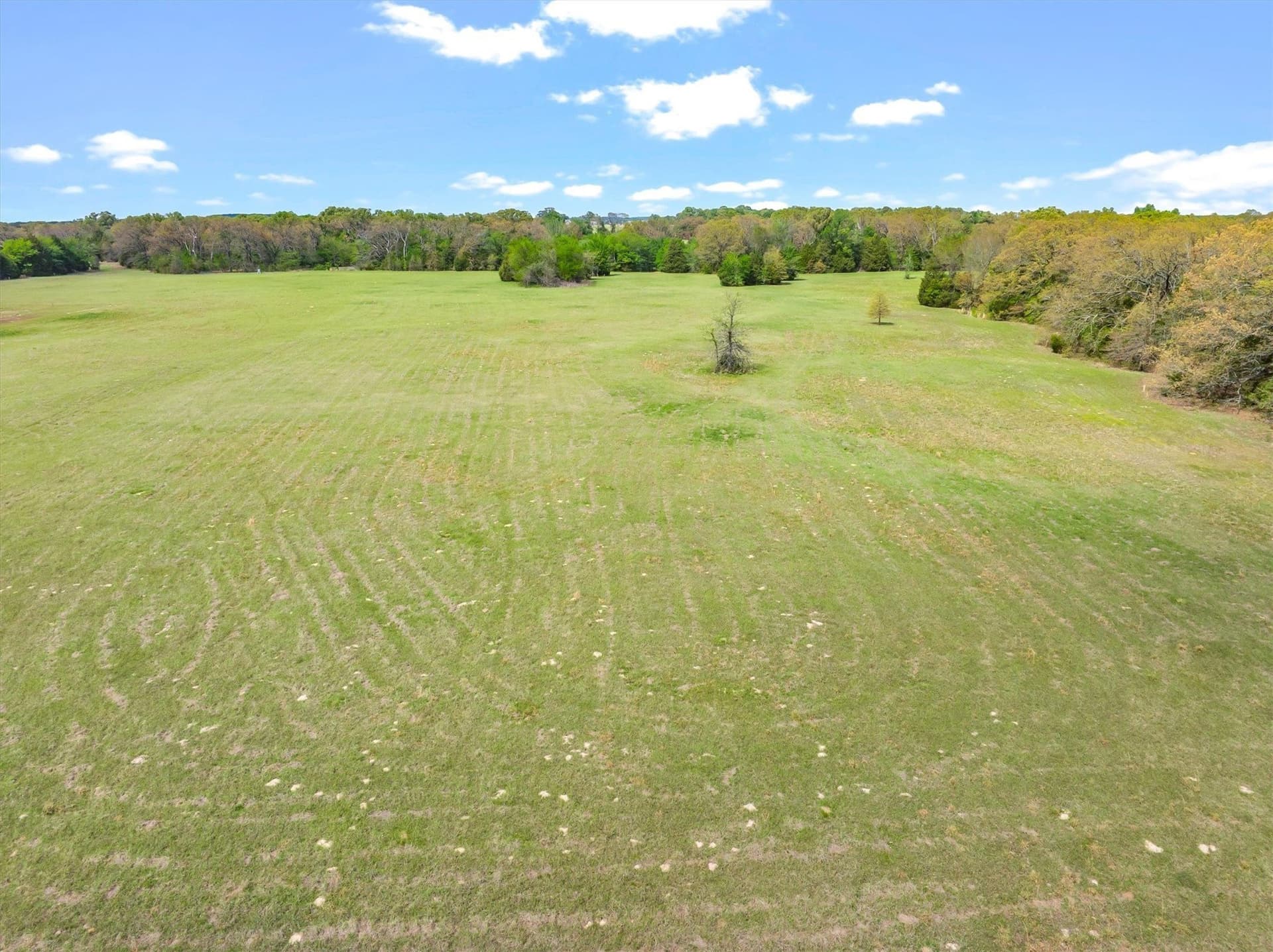 20 acres in Van Zandt County featured view