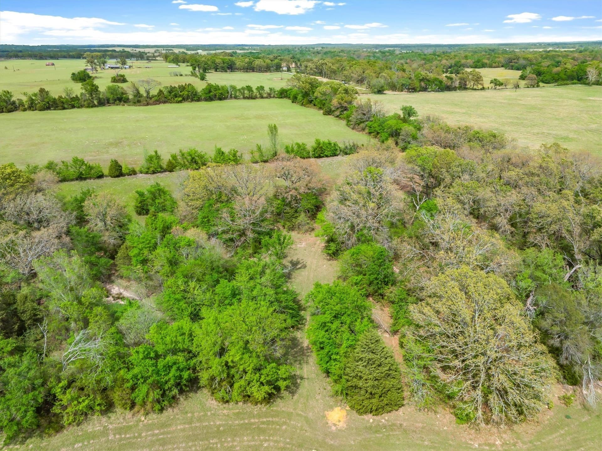 20 acres in Van Zandt County - photo 6