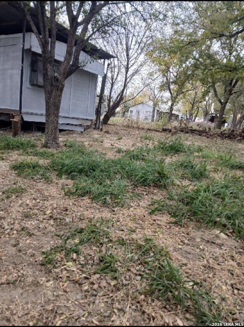0.19 acres in Atascosa County gallery image 2