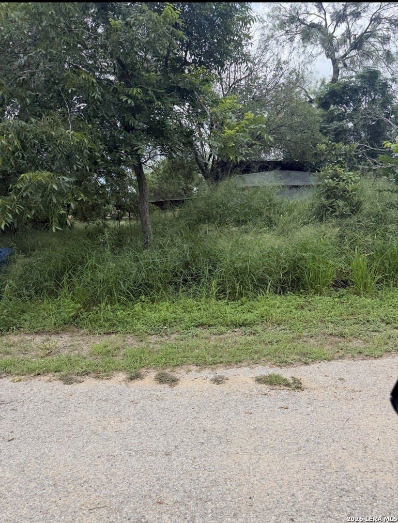 0.19 acres in Atascosa County gallery image 3