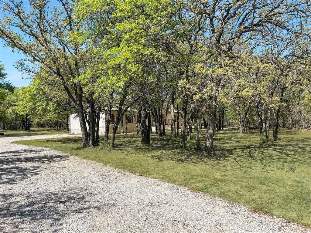 26.17 acres in Eastland County gallery image 3