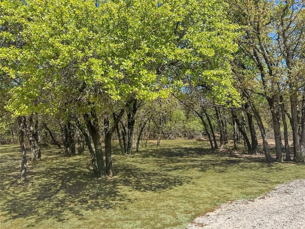 26.17 acres in Eastland County gallery image 2