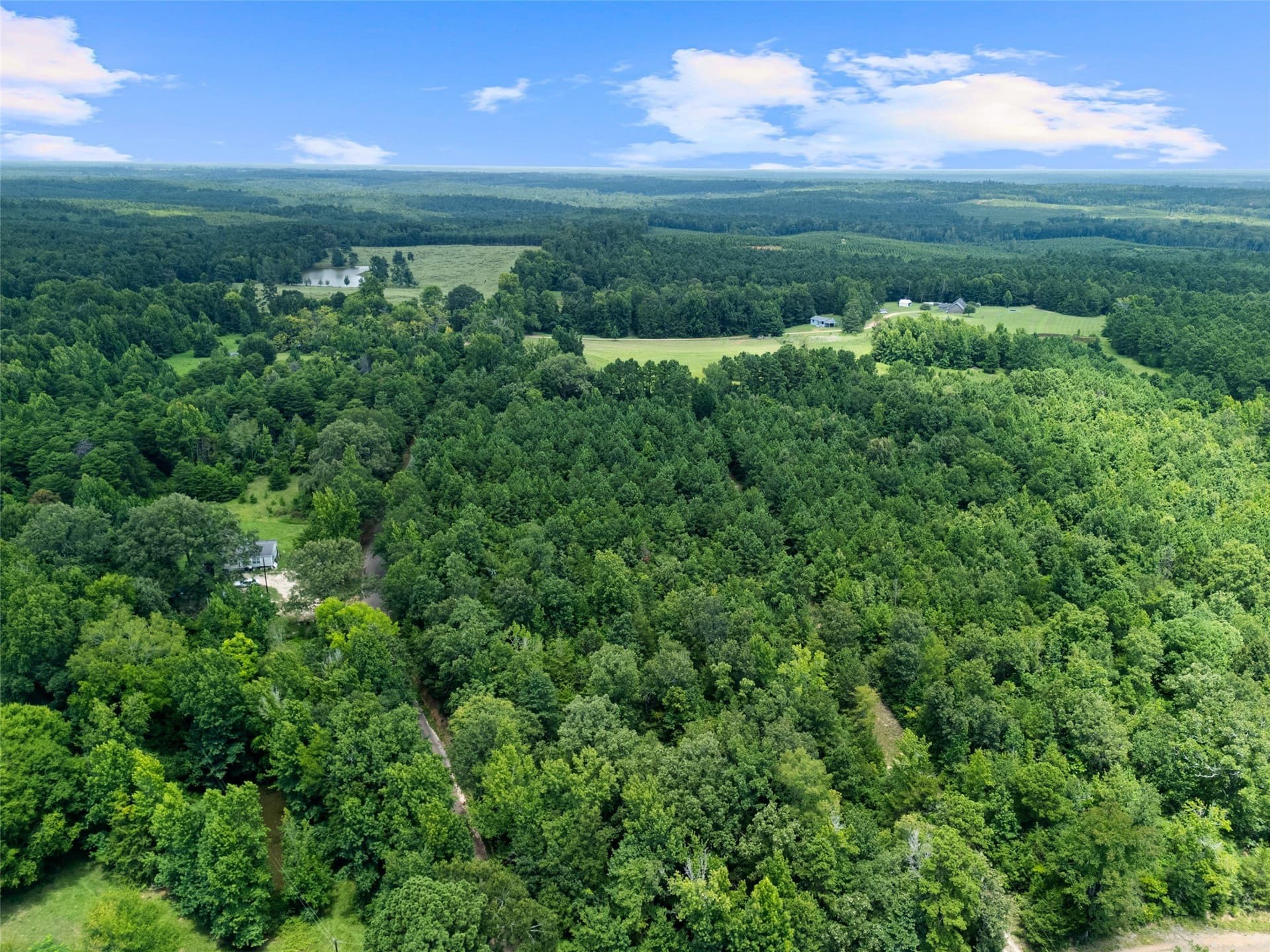 50.3 acres in Cass County - photo 12