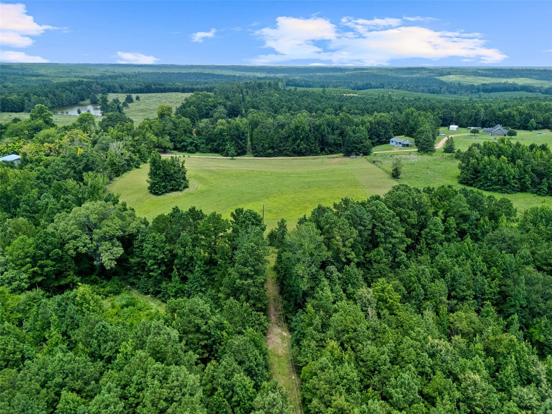 50.3 acres in Cass County - photo 13