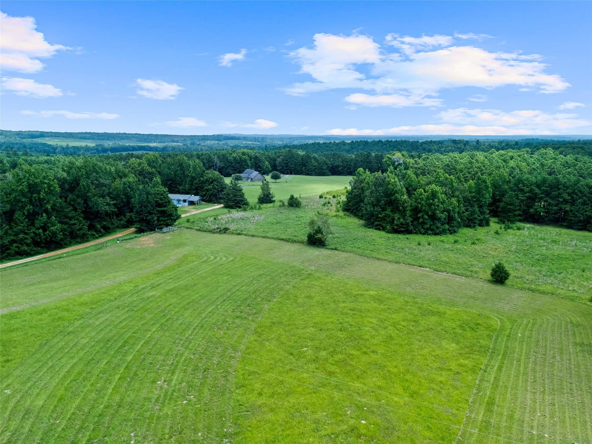 50.3 acres in Cass County - photo 14