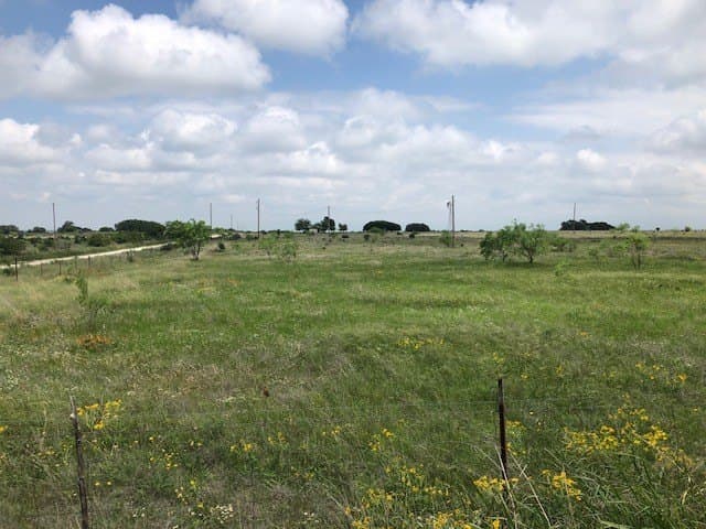 100 acres in Concho County featured view