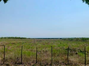 100 acres in Concho County - photo 21
