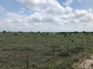 100 acres in Concho County - photo 35