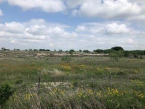 100 acres in Concho County - photo 7