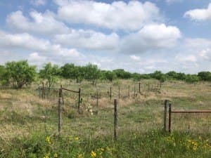 100 acres in Concho County - photo 34