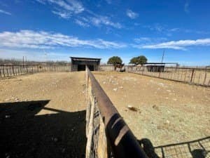 100 acres in Concho County - photo 40