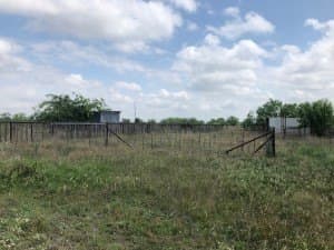 100 acres in Concho County gallery image 4